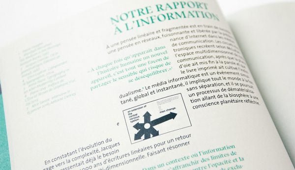antoine derriey memoire dsaa