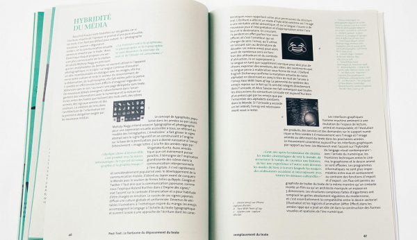 antoine derriey memoire dsaa